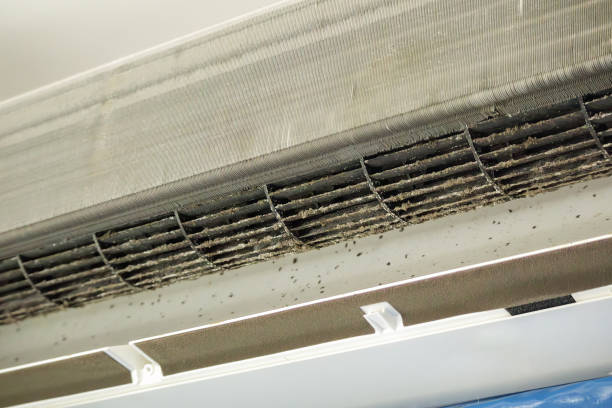 Best Air Vent Cleaning Services  in Twinsburg Heights, OH